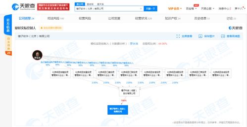 基礎(chǔ)軟件服務(wù) 數(shù)字時(shí)代的基石與驅(qū)動(dòng)力